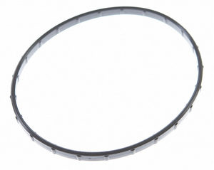 Mahle Ford 5.4L Throttle Body Gasket 54400